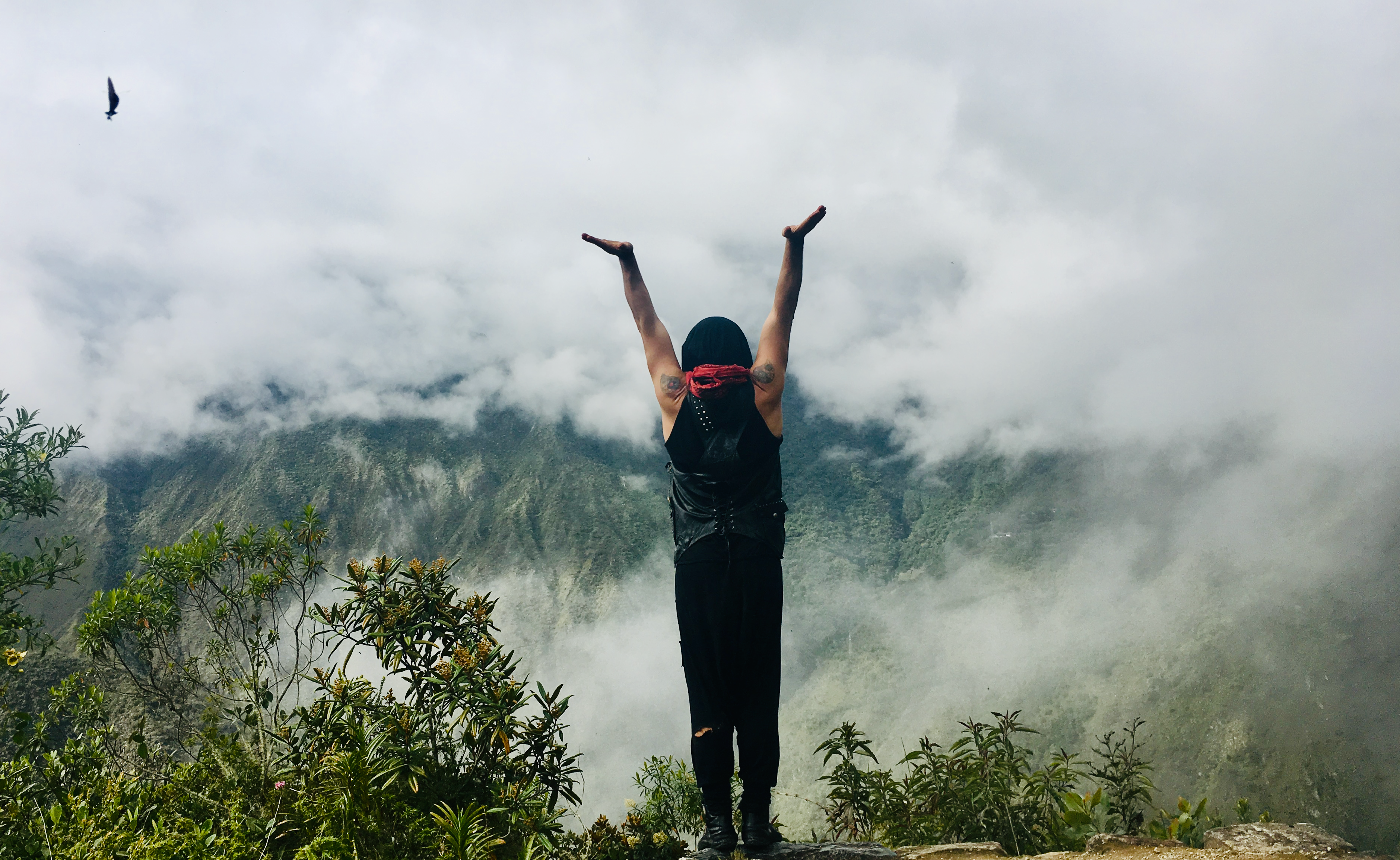 Collective Journey Art