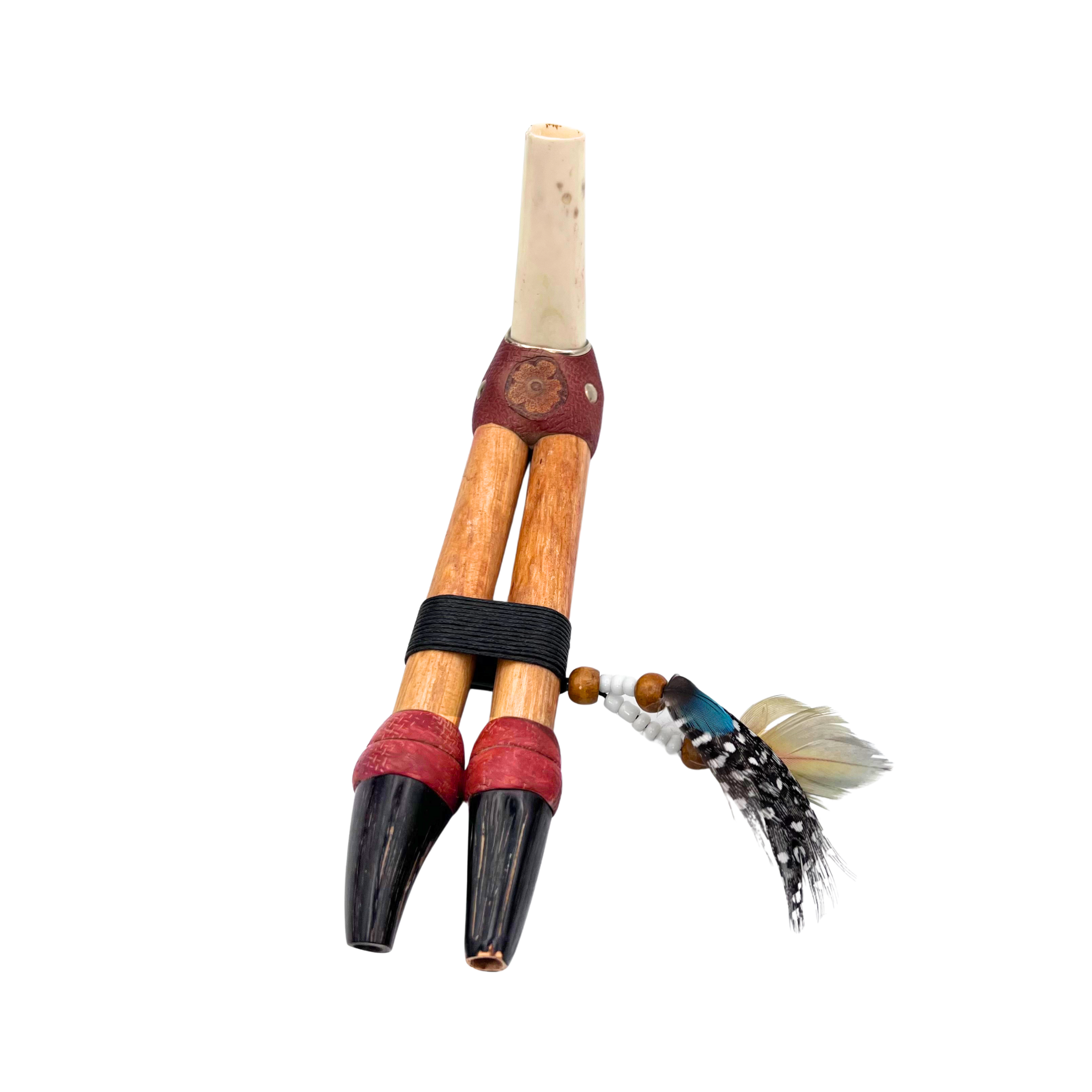 Black Tip Double Nostril Tepi