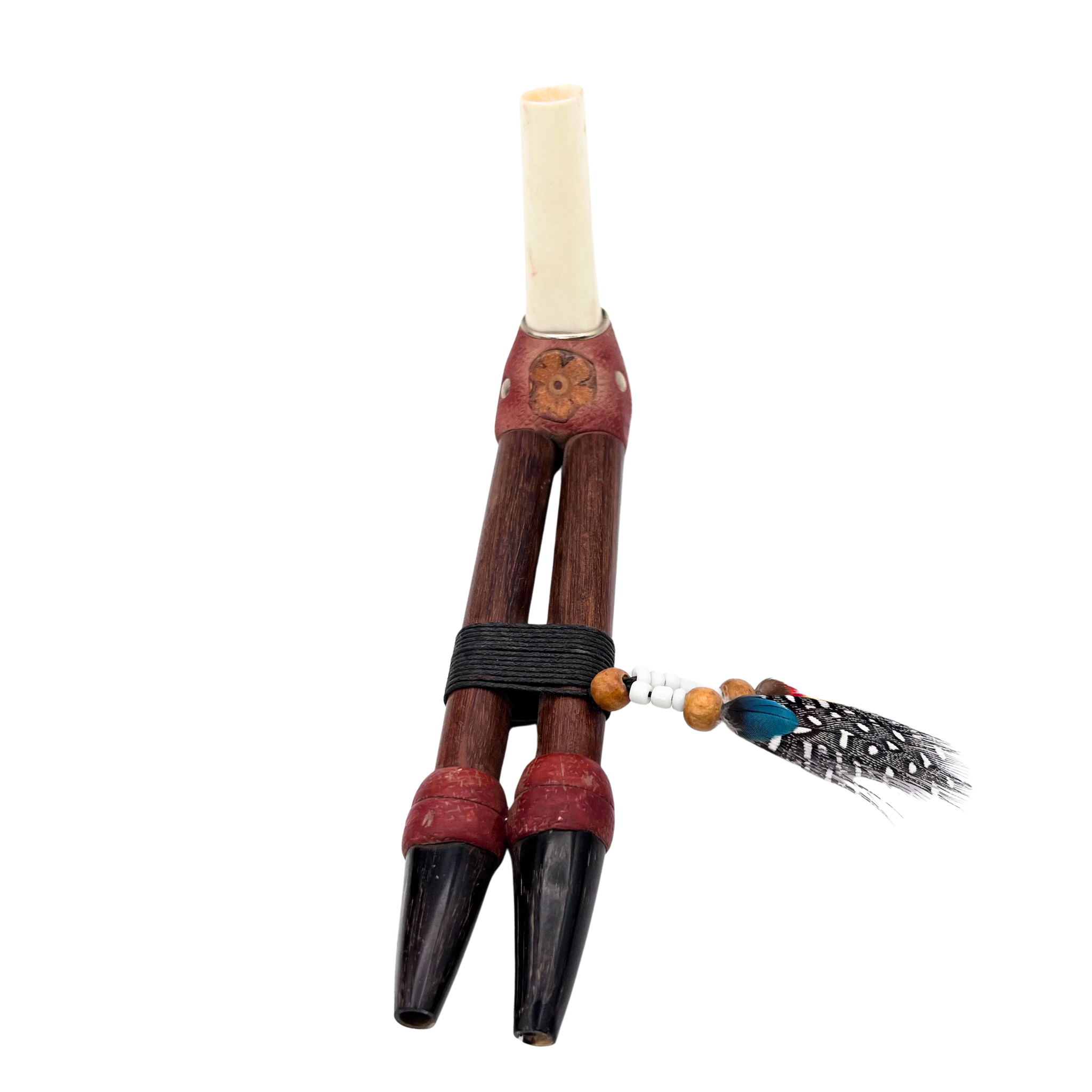 Black Tip Double Nostril Tepi