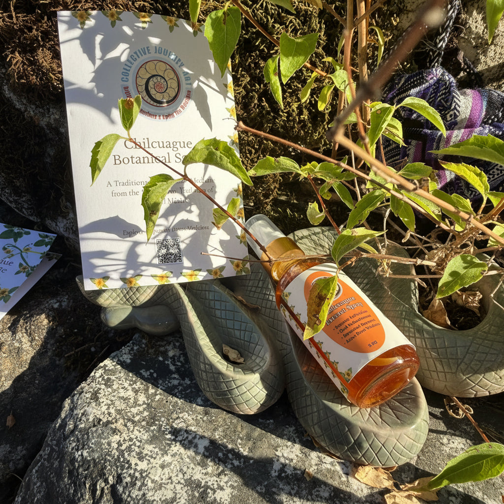 Collective Journey Art Chilcuague Extract Spray bottle resting on a carved amazonite serpent next to its traditional Aztec herbal medicine educational guide.