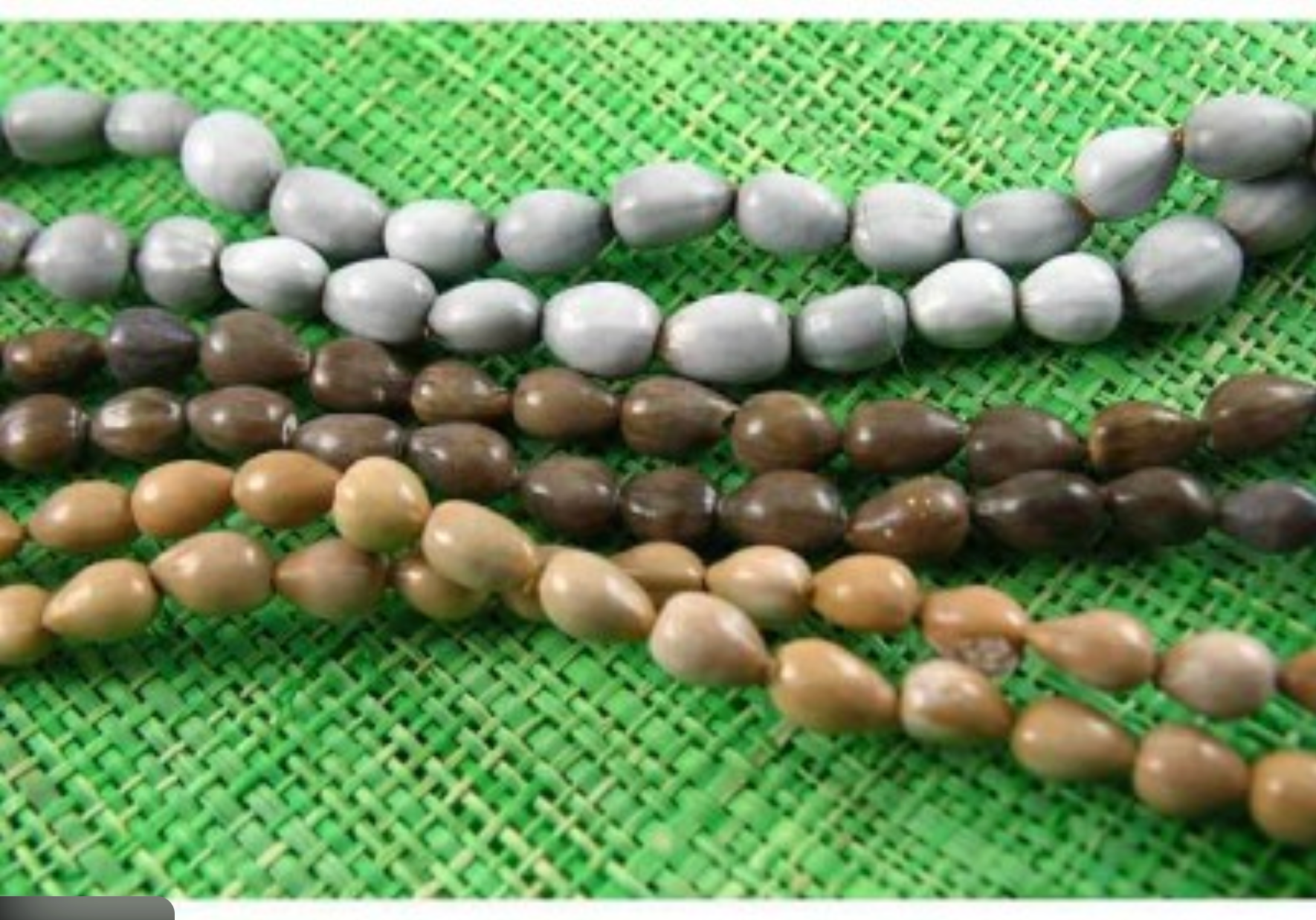 Collective Journey Art