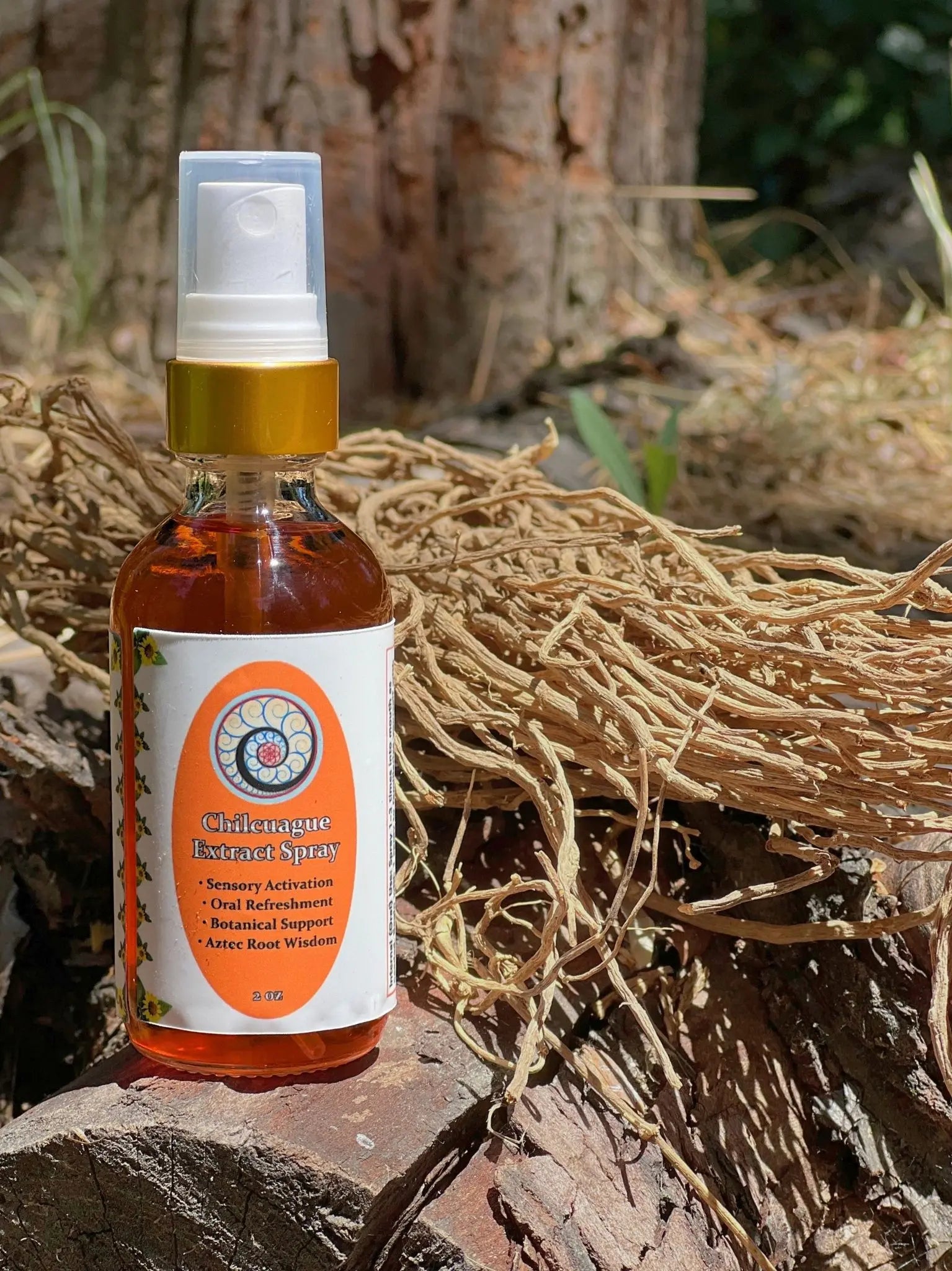 Sierra Gorda Chilcuague Root Extract, traditional Mexican botanical root extract from Collective Journey Art Forest Apothecary.