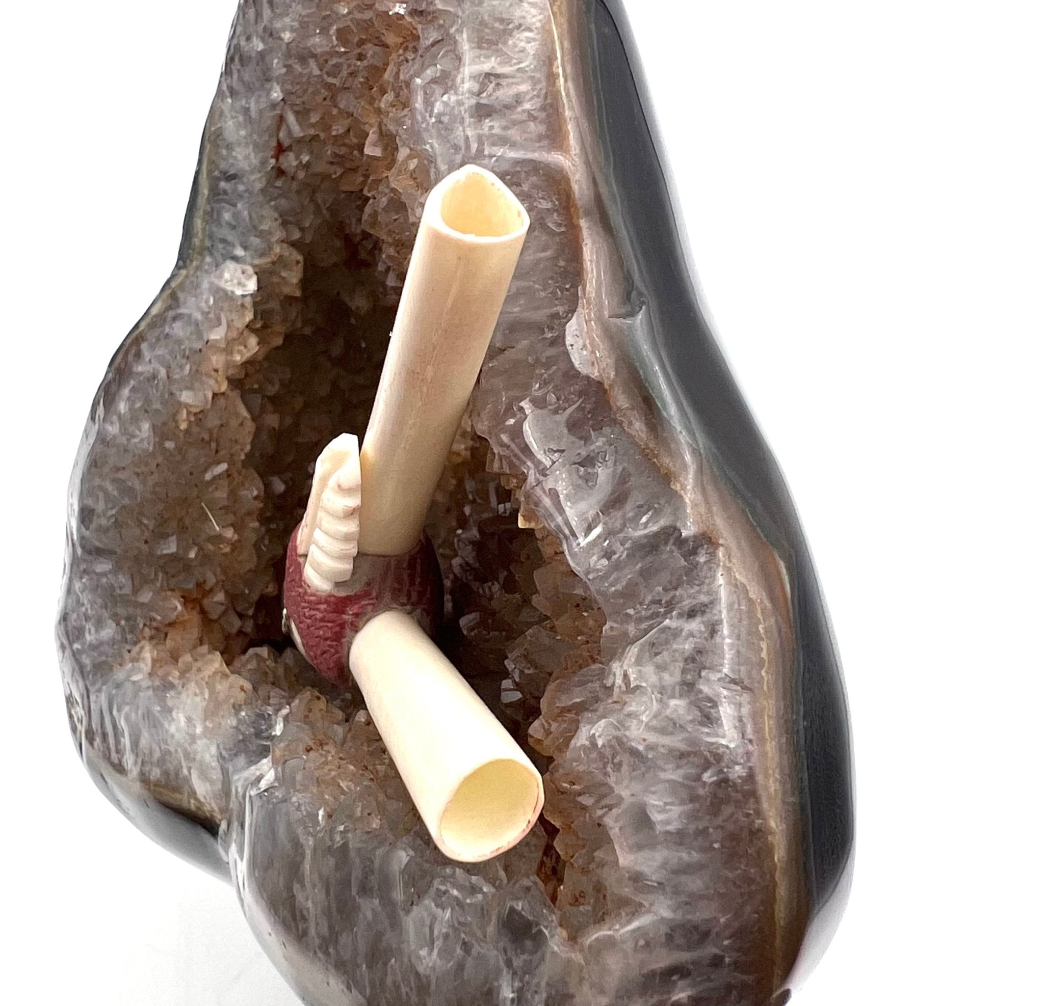 Top view of the Pelican Bone Crystal Kuripe showing the precision gauge opening and razor-thin bone air channel for smooth ceremonial application.